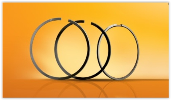 Segman Jp Rf E2200-Besta 86.50mm 86-94 2x2x4