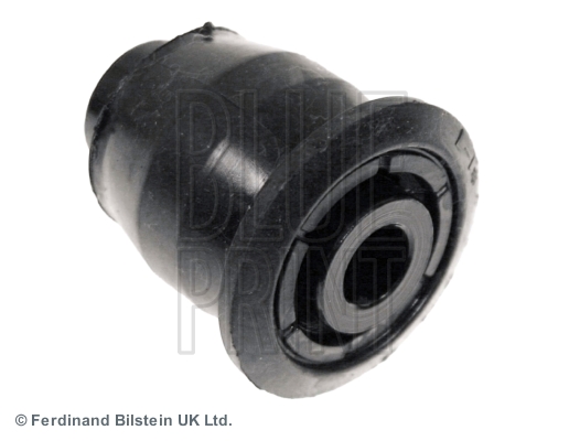 Salincak Burcu Bongo