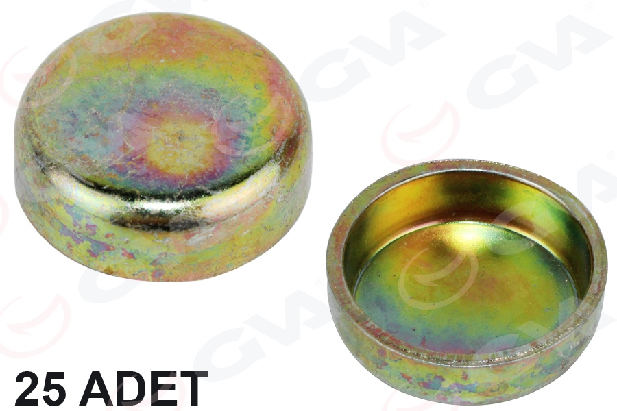 Motor Blok Su Tapasi 25 Mm Renault Universal Paket 25