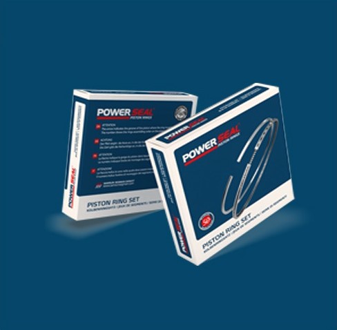 Motor Segmani Std Palio-Marea-Brava-Bravo 1.6 16v