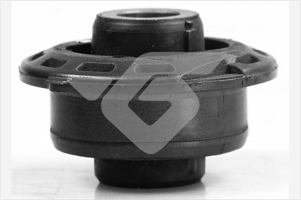 Salincak Burcu Arka C2-C3